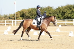 SBM_017330