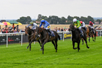 290826-Race 1-Trilby-5258