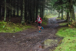 Glentress-1131