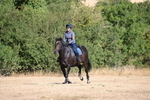 WJ6_6830