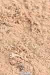 231011A-112600-00237