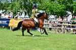 SBM_07901