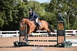 Cls 21 Brit Novice + 90cm Open portfolio