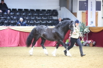 SBM_20981