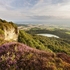 Sutton Heather