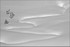 Snow Pattern