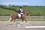 BPP_5593