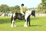 SBM_68964