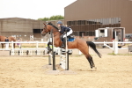 SBM_008566