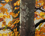 THE TREE-CREEPER