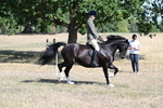 WJ7_3719