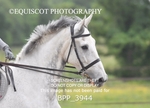 BPP_3944
