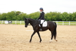 SBM_006491