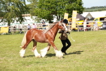 SBM_08635