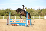 SBM_003185