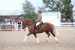 SBM_00279