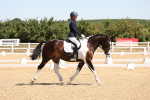 SBM_001245