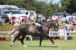 3E7A9490