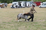 WJ6_5412