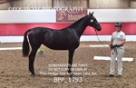 BPP_1793