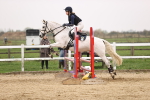 SBM_002220