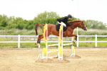SBM_000623