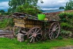 Vintage horse drawn cart in Millburn