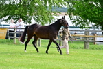 SBM_00086