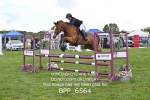 BPP_6564
