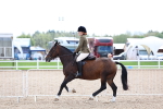SBM_15809