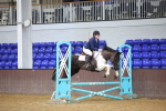 SBM_001731