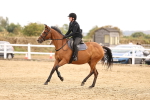 SBM_007306
