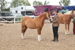 SBM_03258