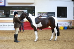 SBM_09804