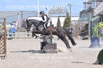 BPP_1564