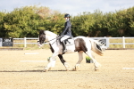 SBM_009131