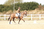 SBM_009790