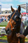 270523-Race 5-Starnberg-0826