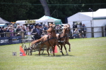 SBM_15336