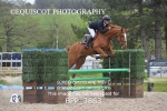 BPP_3863