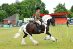 SBM_01174
