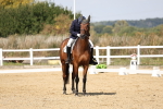 SBM_018600