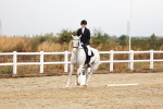 SBM_001595