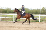 SBM_004040