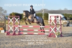 CLASS 19 SUN Pony Discovery / 90cm Open portfolio