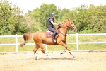 SBM_004875