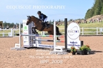BPP_2008