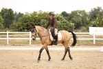 SBM_006446