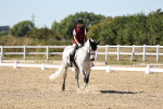 SBM_003347