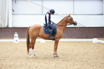 SBM_008397